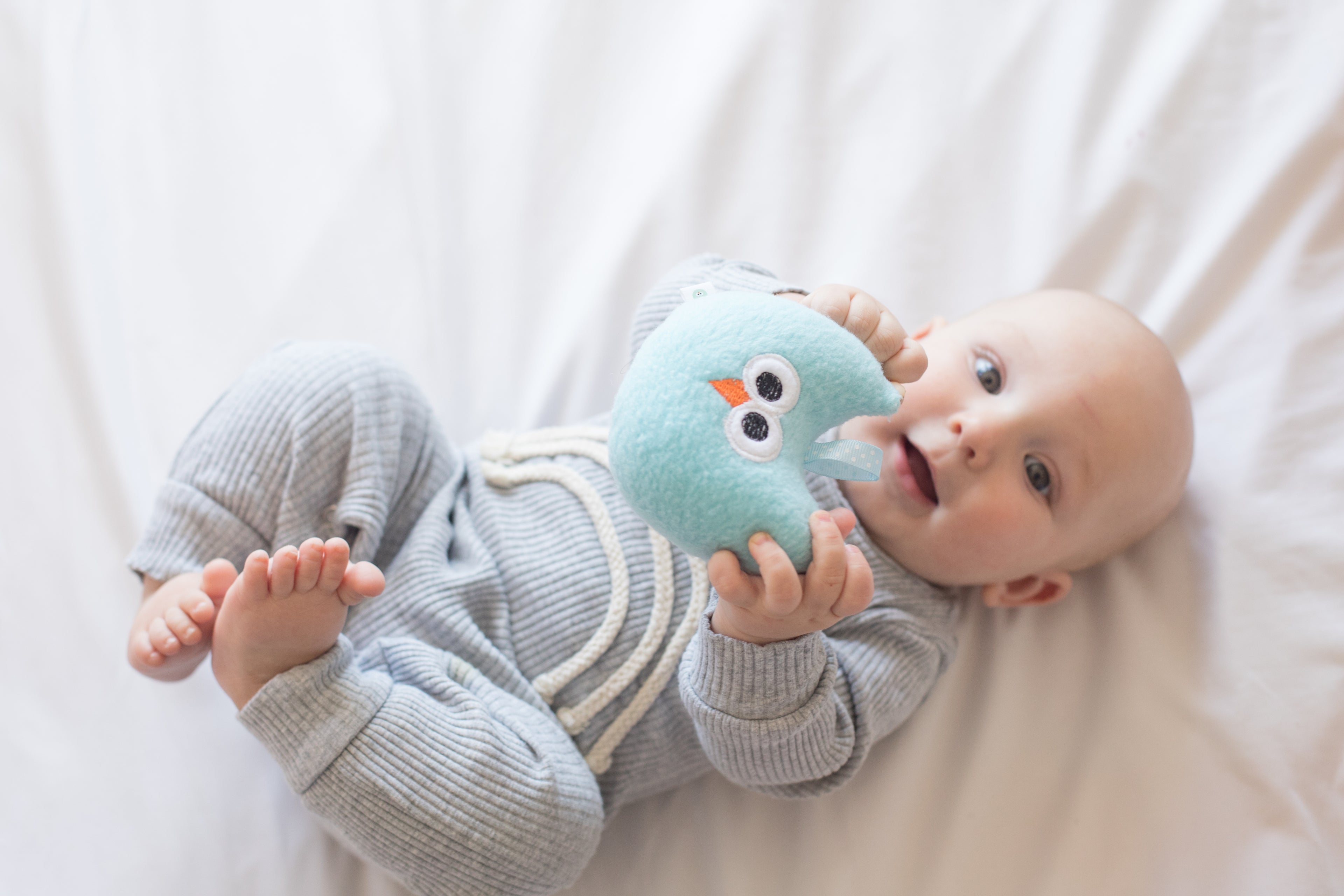 Baby in a gray outfit holding a blue owl plushie on a white background